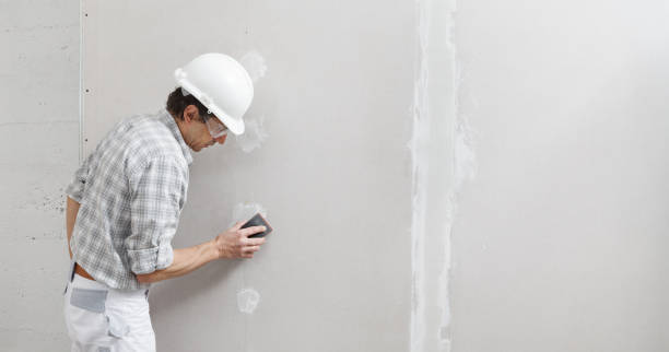 Best Drywall Texturing  in Evansville, IN